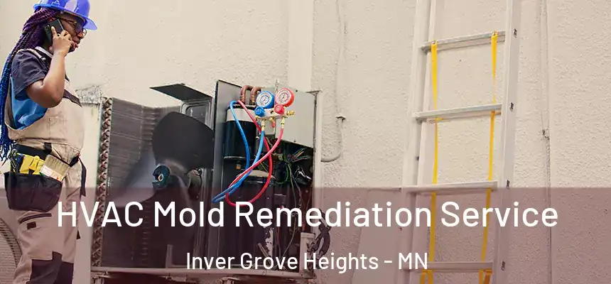 HVAC Mold Remediation Service Inver Grove Heights - MN