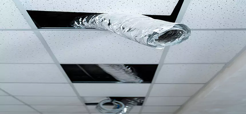 Our Air Duct Pet Hair Removal Services in Inver Grove Heights, MN