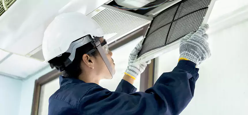 Our Mold & Mildew Removal from Air Ducts Services in Inver Grove Heights, MN