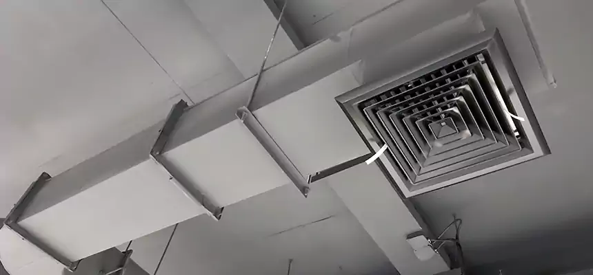 Our Pest Removal From Ducts Services in Inver Grove Heights, MN