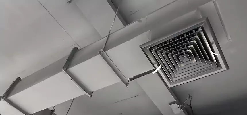 Our Rodent Droppings In Vents Services in Inver Grove Heights, MN