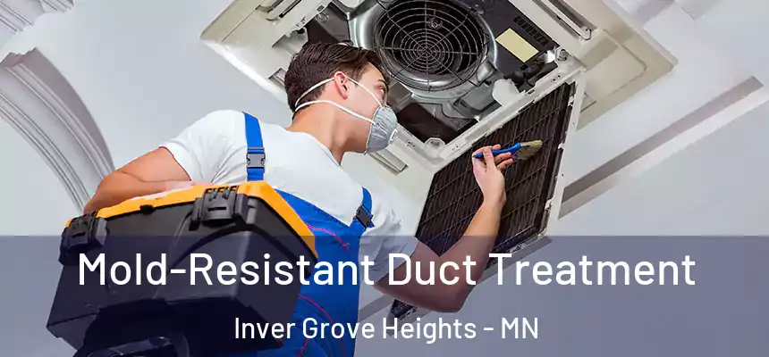  Mold-Resistant Duct Treatment Inver Grove Heights - MN