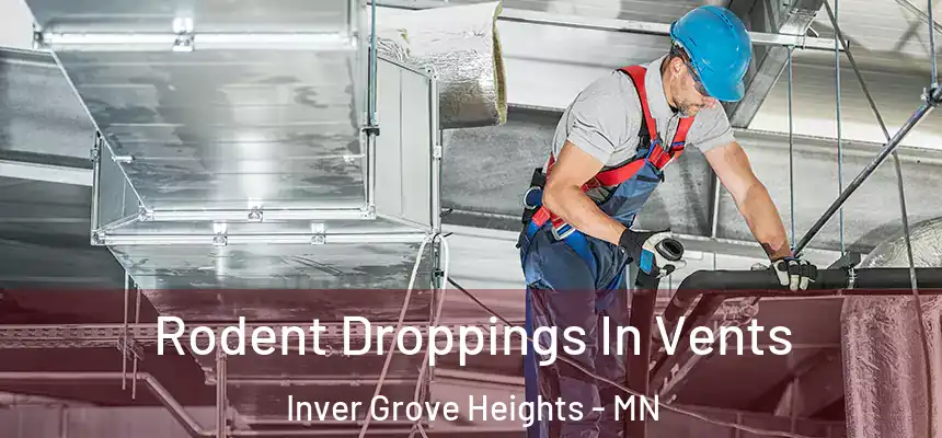  Rodent Droppings In Vents Inver Grove Heights - MN