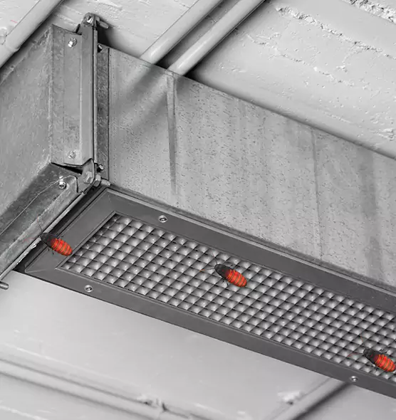 About Air Duct Cockroach Removal in Inver Grove Heights, MN