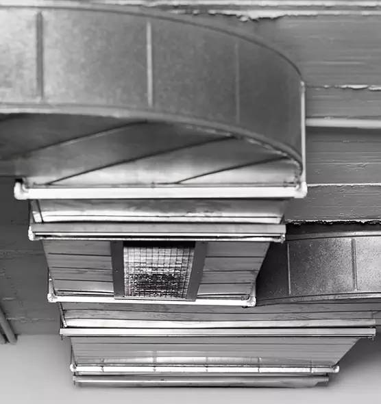 Professional Air Duct Pet Hair Removal in Inver Grove Heights, MN