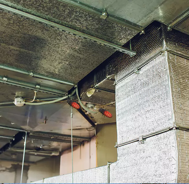 Why Homeowners & Businesses Trust Us in Inver Grove Heights, MN?