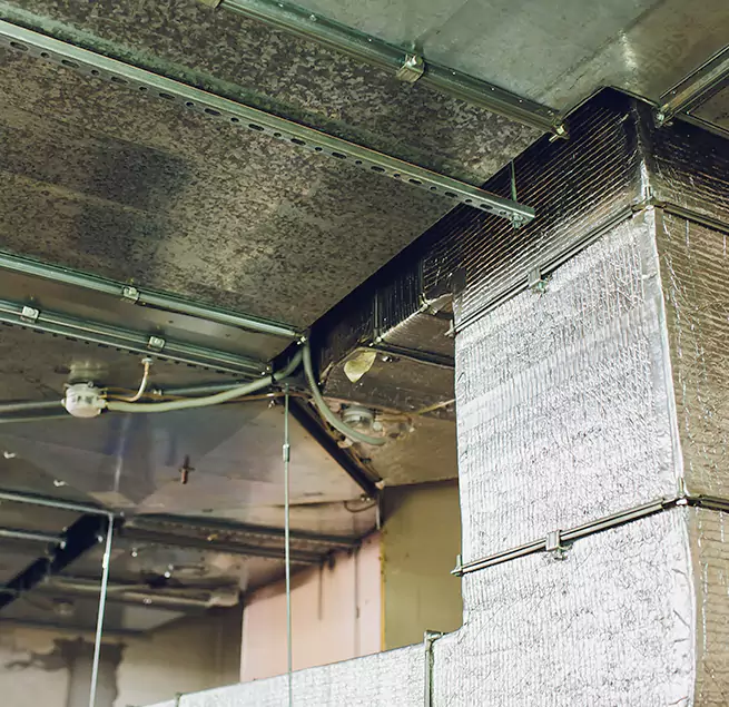 Why Homeowners & Businesses Trust Us in Inver Grove Heights, MN?